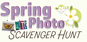 Virtual Student Union